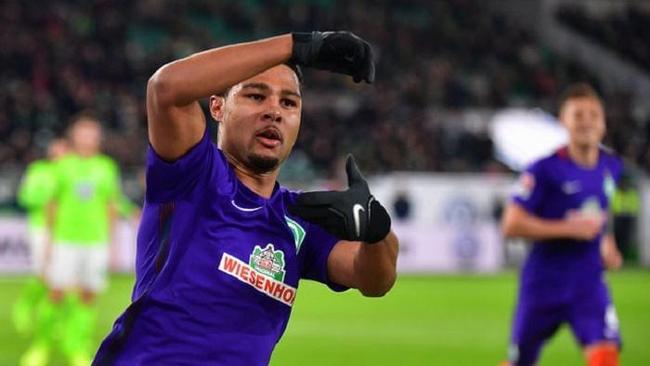 球隊參與熱 球隊參與熱